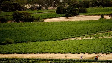 Résumé de la course