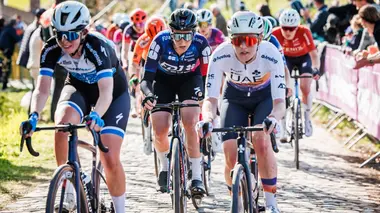 Tour des Flandres féminin