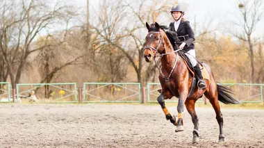 Les meilleurs moments