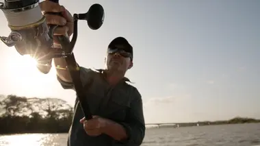 Survivre au mythique piraiba