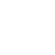 Turk Telekom