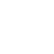 Avenir Castaneen