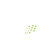 Rugby Club Vallons De La Tour