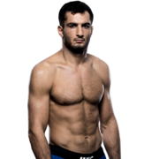 Gegard Mousasi
