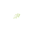 Rugby Club Vallons De La Tour
